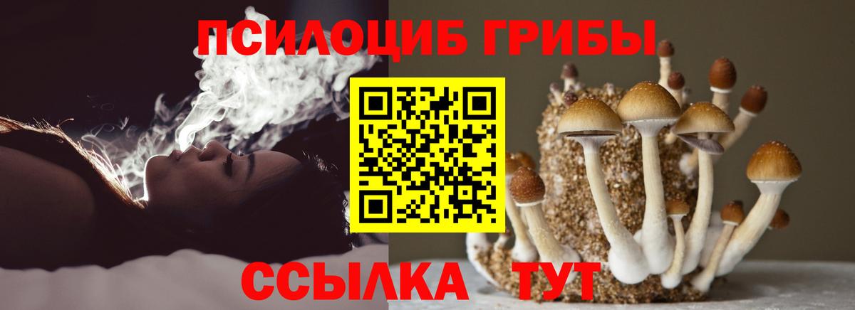 Псилоцибиновые грибы Psilocybine cubensis  Вход с VPN  Нефтекамск 